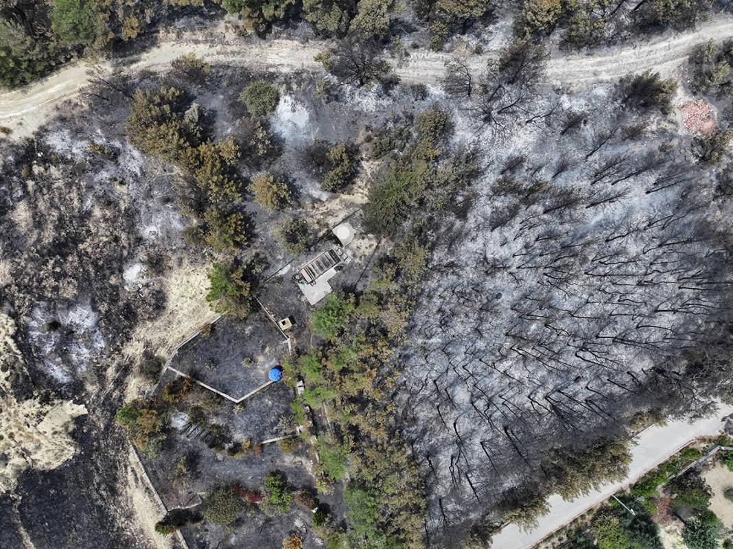 Kahreden manzara! Bornova'da yanan ormanlar dronla görüntülendi 10